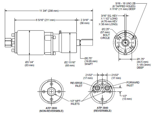 DISEGNO 3800 Soluzioni per la rivendita professionale e industriale I motori pneumatici ATP  sono prodotti secondo i più alti standard di qualità: sono conosciuti per la capacità di erogare coppie elevate e per il miglior rapporto peso-potenza presente sul mercato. La linea di motori ATP  ha numerosi vantaggi: Motore a palette ad alta potenza e durevole; Ingranaggio planetario robusto; Albero di trasmissione in uscita con chiavetta; Controllo della velocità variabile; Montaggio frontale a sei fori; Montaggio in qualsiasi posizione.  